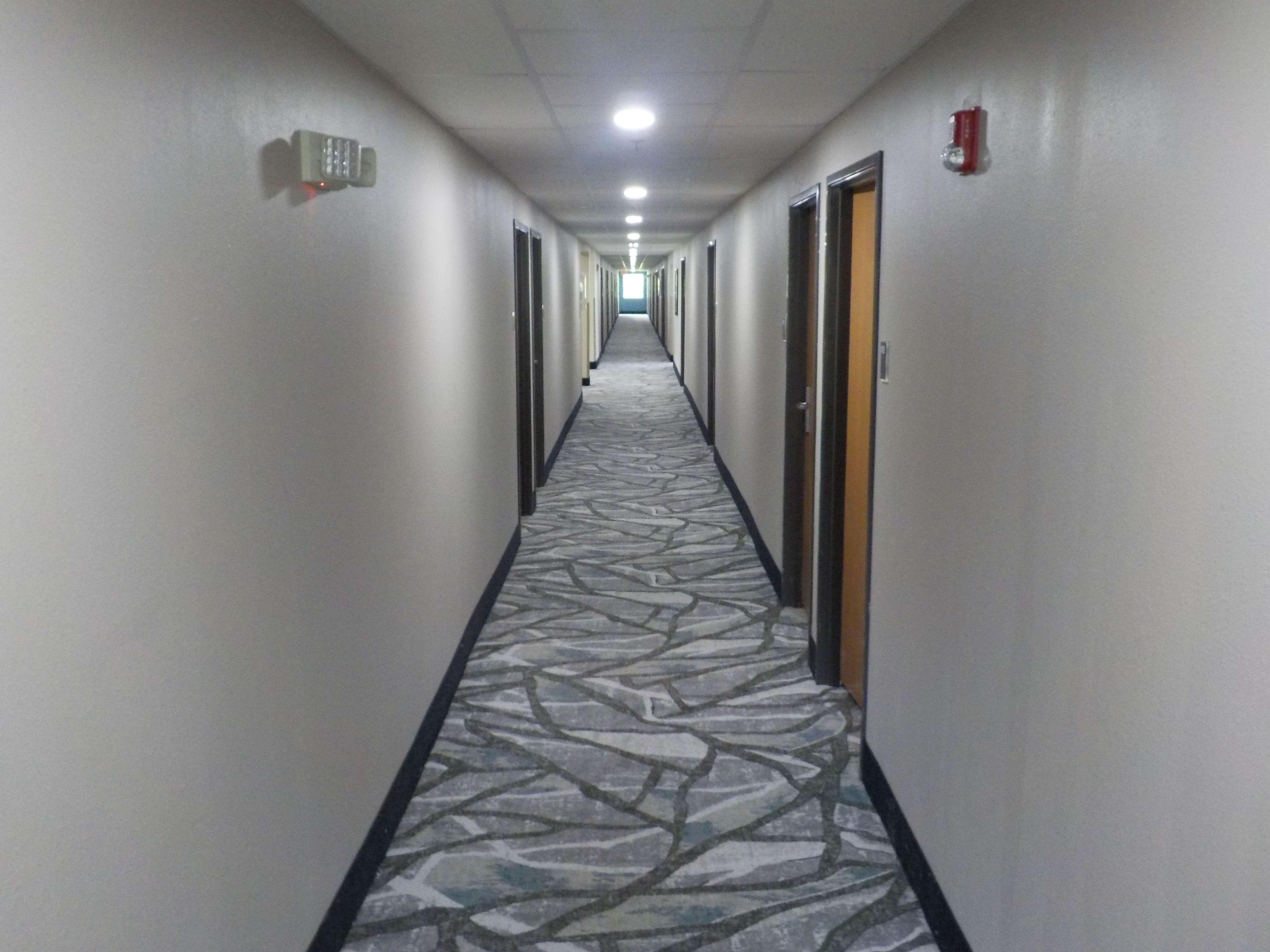 Mj Inn And Suites Marienville Wnętrze zdjęcie